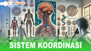 Biologi SISTEM KOORDINASI + Test Sistem CAT