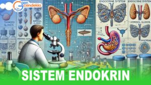 Biologi SISTEM ENDOKRIN + Test Sistem CAT