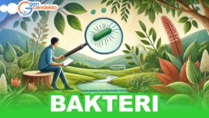Biologi BAKTERI + Test Sistem CAT