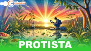 Biologi PROTISTA + Test Sistem CAT